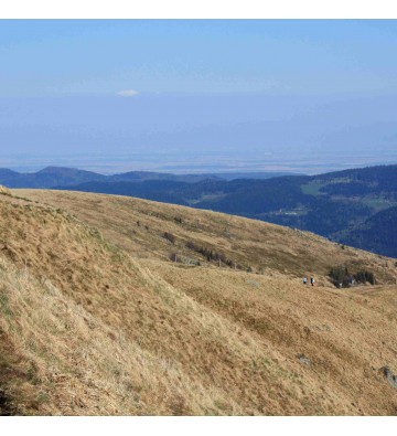 Traversée des Hautes Vosges