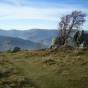 Traversée des Hautes Vosges