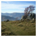Traversée des Hautes Vosges
