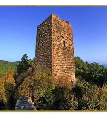  Sortie originale et familiale : Les vestiges du château perché