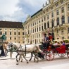 Vienne