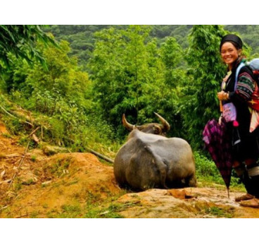 RANDONNÉE DE PHU LONG À LA BAIE D'HA LONG 16 jours / 13 nuits
