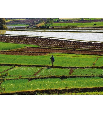 DES HAUTS PLATEAUX AU CANAL DES PANGALANES 14 jours / 12 nuits