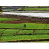 DES HAUTS PLATEAUX AU CANAL DES PANGALANES 12 jours / 11 nuits