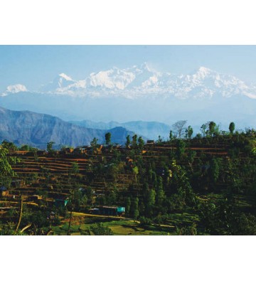 LE TOUR DU MANASLU 20 jours / 17 nuits