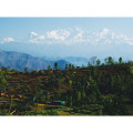 LE TOUR DU MANASLU 18 jours / 15 nuits