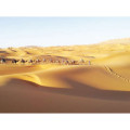 TREK DANS LES DUNES DE CHEGAGA 8 jours / 7 nuits