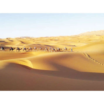 TREK DANS LES DUNES DE CHEGAGA 8 jours / 7 nuits
