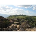 TREK SUR LES CHEMINS D'ABYSSINIE 17 jours / 14 nuits