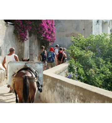 TREK DU GOLFE DE NAPLES À LA CÔTE AMALFITAINE 8 jours / 7 nuits