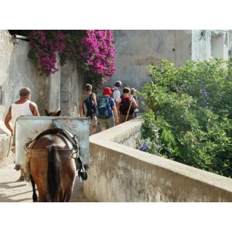 TREK DU GOLFE DE NAPLES À LA CÔTE AMALFITAINE 8 jours / 7 nuits