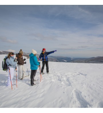 Sortie raquettes à neige sur la chaume de Sérichamp   sur demande