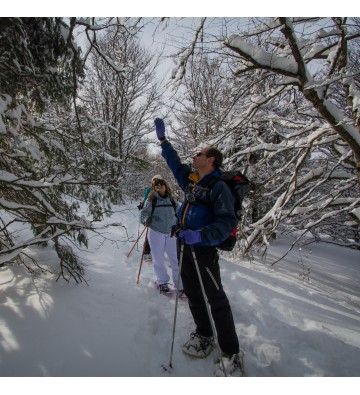 Sortie raquettes à neige Découverte du  Gazon de Faîte par le lac Vert      sur demande