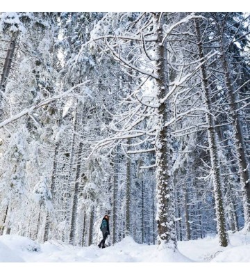 Sortie raquettes à neige au Breitfirst  sur demande