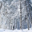 Sortie raquettes à neige au Breitfirst  sur demande