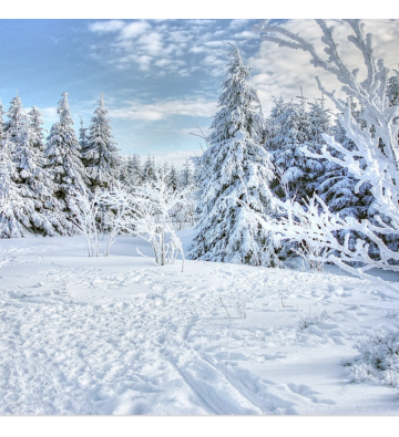 Sortie raquettes à neige au Thannerhubel