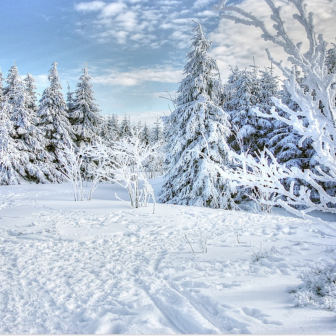 Sortie raquettes à neige au Thannerhubel