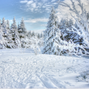 Sortie raquettes à neige au Thannerhubel