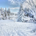 Balade en raquettes à neige au Thannerhubel