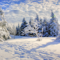 Sortie Raquettes à neige sur les chaumes du Rossberg