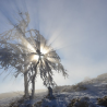 Balade en raquettes à neige sur les chaumes du Rossberg