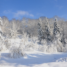 Balade en raquettes à neige à Lispach