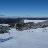 Balade en raquettes à neige au Brabant