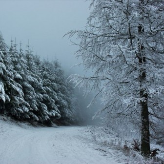 Sortie Raquettes à neige au Storkenkopf    