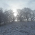 Sortie en Raquettes à neige au lac du Ballon