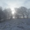 Balade en raquettes à neige au lac du Ballon