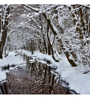 Sortie Raquettes à neige à la cascade de Bruscher