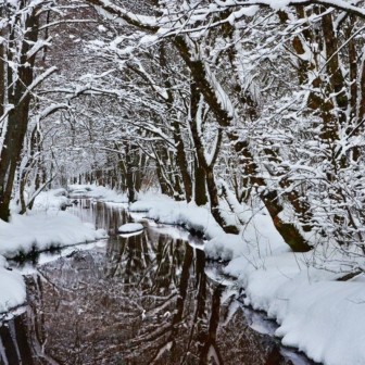 Sortie Raquettes à neige à la cascade de Bruscher