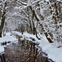 Sortie Raquettes à neige à la cascade de Bruscher