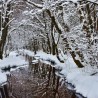 Balade en raquettes à neige à la cascade de Bruscher