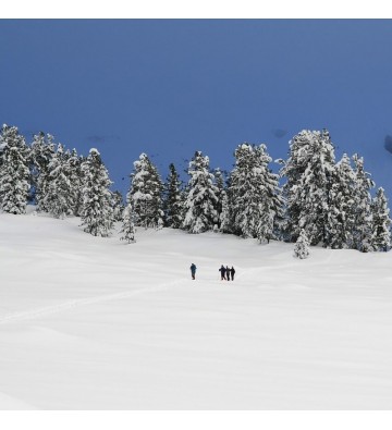 Sortie raquettes à neige au Lac de la Lauch   sur demande