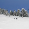 Balade en raquettes à neige au Lac de la Lauch