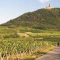 Parenthèse bien-être en Alsace 3 jours/2nuits