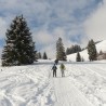 Bon cadeau pour une sortie en raquettes à neige et repas en ferme auberge