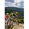 Evasion au coeur de l'Alsace à VTT