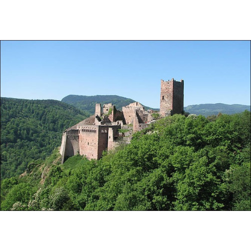 Séjour aux Palais royales- les Chateaux de Ribeauvillé