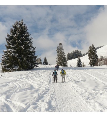 Bon cadeau pour une sortie en raquettes à neige et un repas