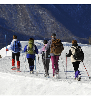 Balade en raquettes à neige au Feldberg !