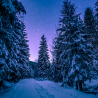 Balade en raquettes à neige coucher du soleil au Ballon Alsace