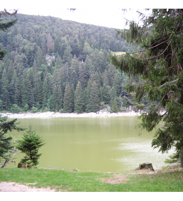 Sortie nature, découvrez les Lacs du massif Vossgiens