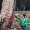 A la découverte de nos sens en montagne