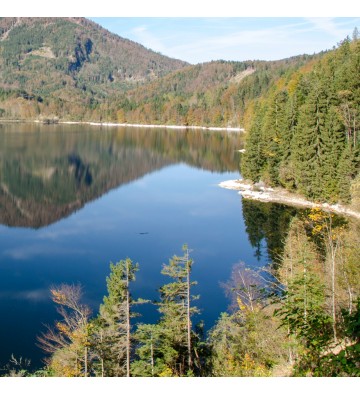 L'eau sous ses différentes formes