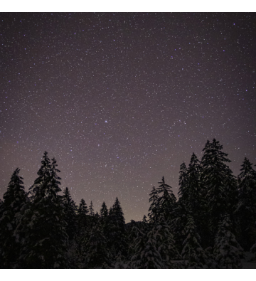 Balade en raquettes à neige à la découverte du ciel étoilé au Markstein