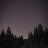 Balade nocturne en raquettes à neige au Markstein