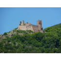 Randonnée royale- les Chateaux de Ribeauvillé