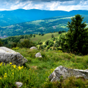 Séjour randonnée et yoga dans les Vosges